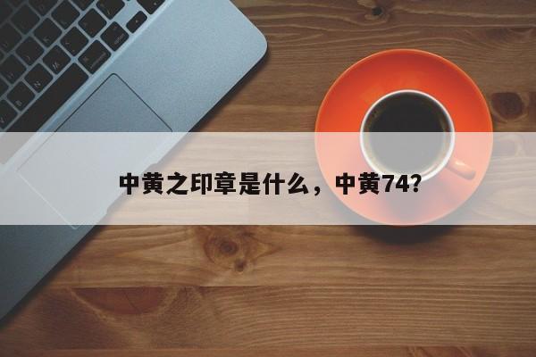 中黄之印章是什么，中黄74？