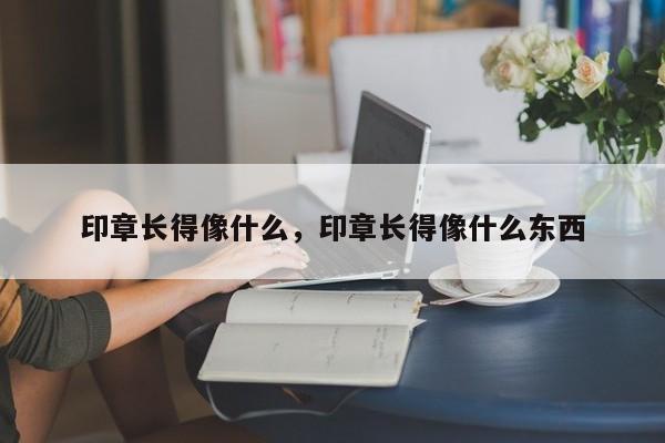 印章长得像什么，印章长得像什么东西