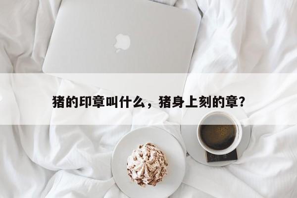 猪的印章叫什么，猪身上刻的章？