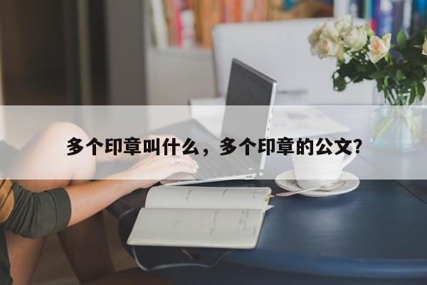 多个印章叫什么，多个印章的公文？