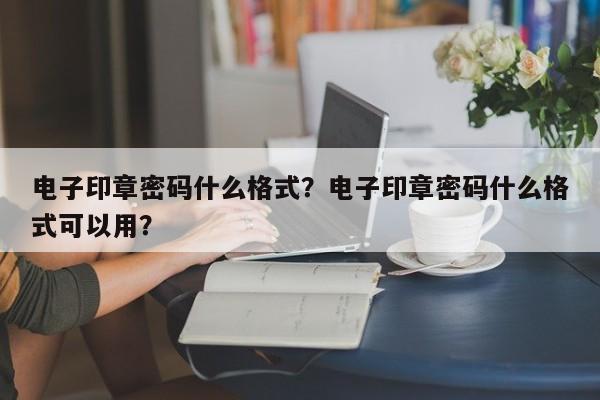 电子印章密码什么格式？电子印章密码什么格式可以用？