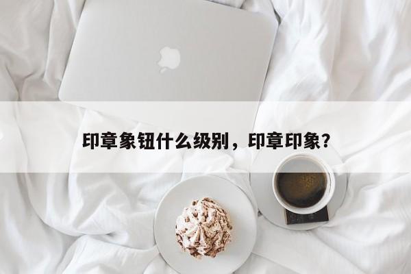 印章象钮什么级别，印章印象？