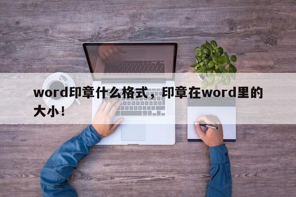 word印章什么格式，印章在word里的大小！