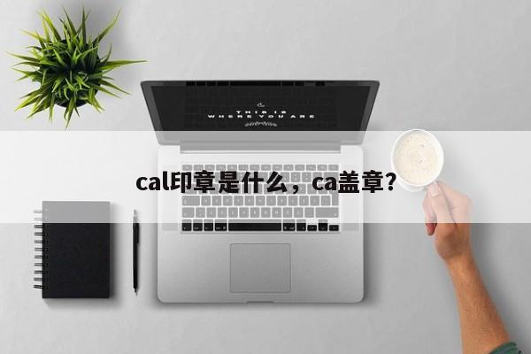 cal印章是什么，ca盖章？