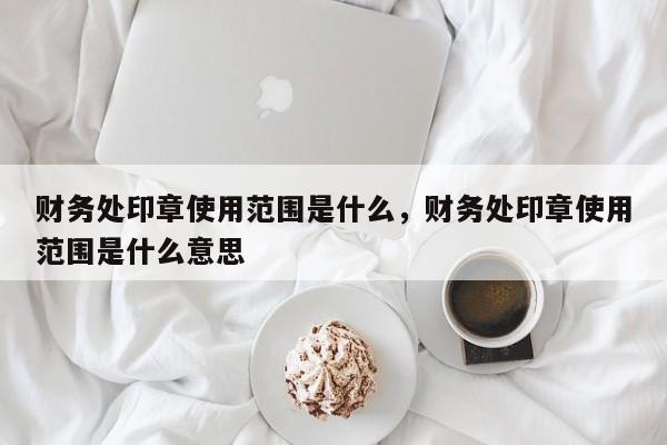 财务处印章使用范围是什么，财务处印章使用范围是什么意思