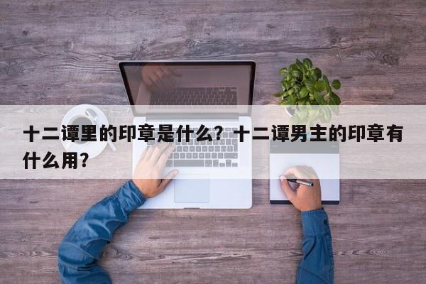 十二谭里的印章是什么？十二谭男主的印章有什么用？