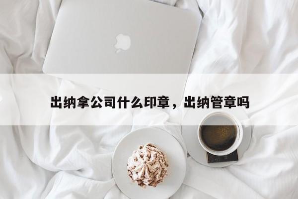 出纳拿公司什么印章，出纳管章吗