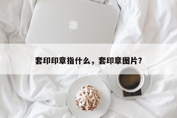 套印印章指什么，套印章图片？