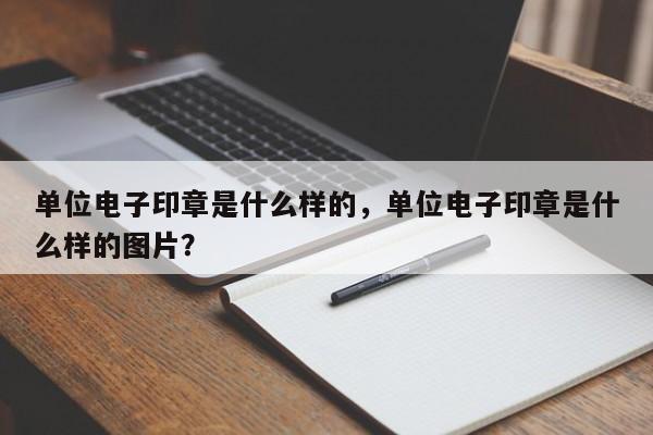 单位电子印章是什么样的，单位电子印章是什么样的图片？