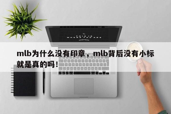 mlb为什么没有印章，mlb背后没有小标就是真的吗！