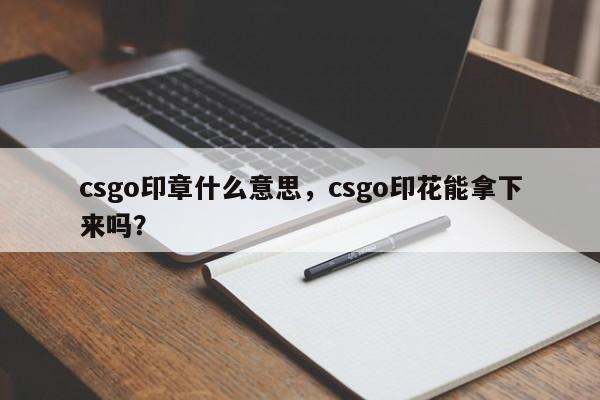 csgo印章什么意思，csgo印花能拿下来吗？